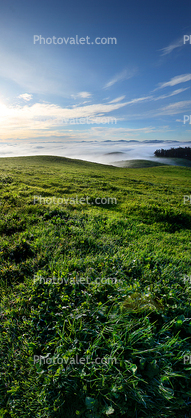 Hills, Fog, Clouds, Morning, Fields, grass
