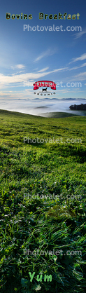 Hills, Fog, Clouds, Morning, Fields, grass, bookmark