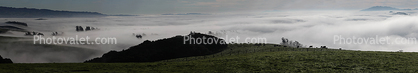 Sonoma Mountain Range, Hills, Fog, Clouds, Morning, Eucalyptus Trees