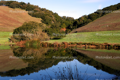 Pond, Hills, Trees, Reflection, Lake, Reservoir, Water, fields