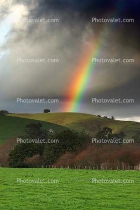 Fields, Tree, Rainbow, Hills, clouds