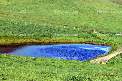 Pond, Reservoir, Lake, fence, Trees, Grass Field, Hills, water