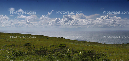 Grass Field, Hills, clouds, Marin County, Pacific Ocean, Panorama