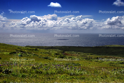 Grass Field, Hills, clouds, Marin County, Pacific Ocean