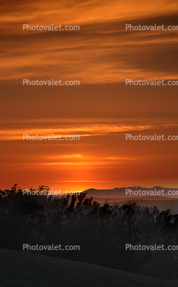 Sunrise, Sonoma County