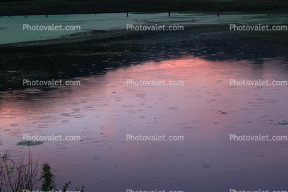 Pond, Water, Sunset, Hills, reservoir, lake