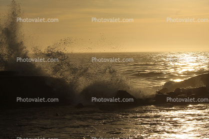 Pacific Ocean, Wave, Sonoma County Coast