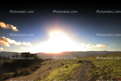 Field, Road, Sunset, Two-Rock, Sonoma County