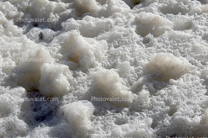 Wiggly Jiggly Foam, from the Pacific Ocean, Russian River mouth, Sonoma County