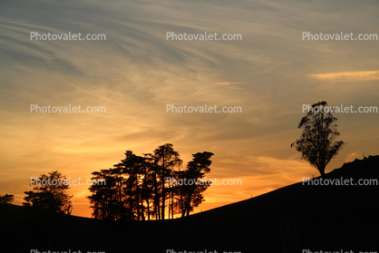 Sunset, trees, clouds