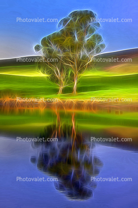Transcendental Pond, Lake, trees, hills, reflection, water, Paintography