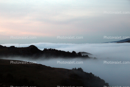 Sonoma County Coast, coastline, coastal fog