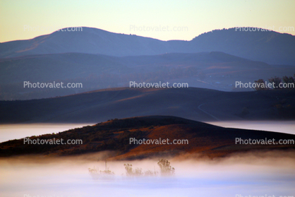 Fog, Valley, early morning, trees, hills, Sonoma County looking south into Marin County hills