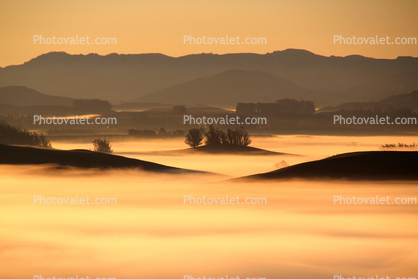 Fog, Valley, early morning, sun, Sonoma County looking south into Marin County hills