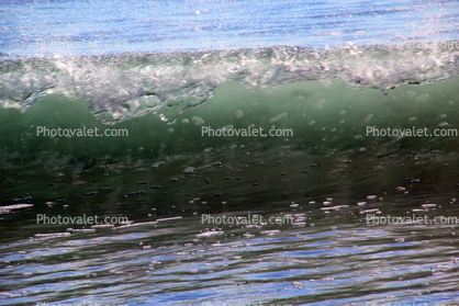 Silky Wave, Drakes Bay