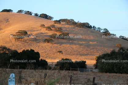 California Hills in the Sunset
