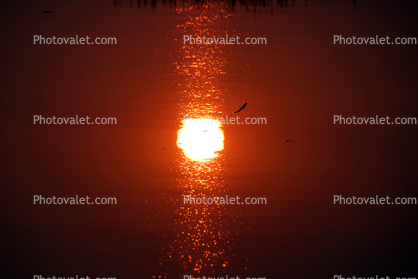 Sun Reflecting in Bolinas Lagoon, Sunset