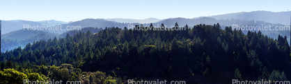 Hills Mountains, Forest, Trees, Coastal Sonoma County, California