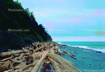 Driftwood, Beach, flotsam, jetsam, Coastline, coastal, Pacific Ocean, coast, shoreline