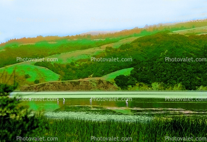 Bolinas Lagoon, Marin County