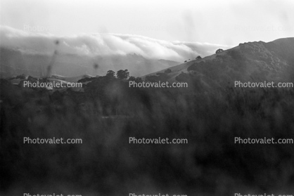 California Coastal Fog, Mount Tamalpais