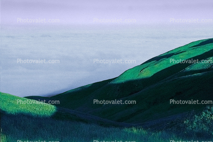 fog over the coastal range, Mount Tamalpais