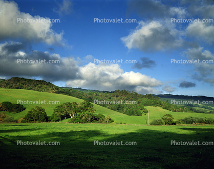 Bolinas, Marin County, Hills, Hillside, Foothills of Mount Tamalpais