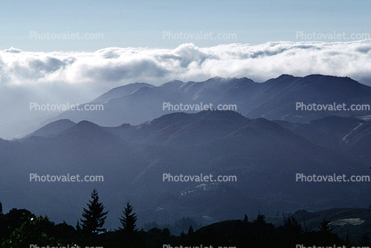 looking north from Mount Tamalpais