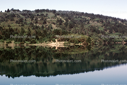 Forest, lake, reflection, Crystal Springs Reservoir, San Mateo County, northern Santa Cruz Mountains, rift valley, water