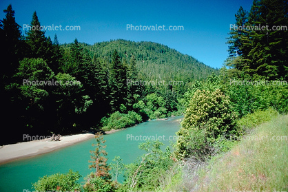 Eel River, Forest, beach, Avenue of the Giants, Humboldt County