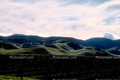 hills, Salinas Valley