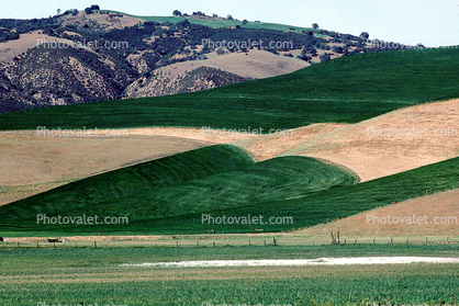 Diablo Range, patterns in the hills