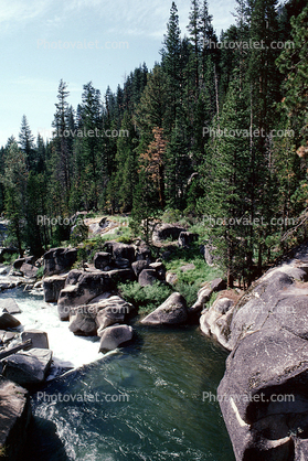 River, Stream, Forest, Rocks