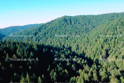 Valley, forest, hills, mountains, southern Humboldt County