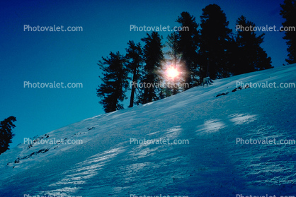 Snow, Ice, Wun, trees, Mountains