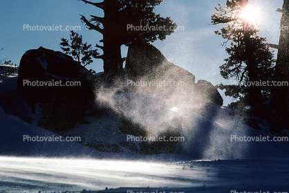 Snow, Ice, Trees, Sunlight, Mist