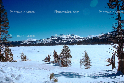 Trees, Forest, Valley, Mountain Range, Snow, Ice, cold