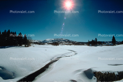 River, stream, Trees, Forest, Snow, Ice, cold, sun
