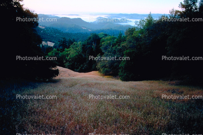 Austin Creek State Park