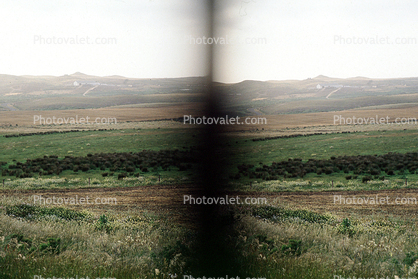 stereo photo, Mount Tamalpais