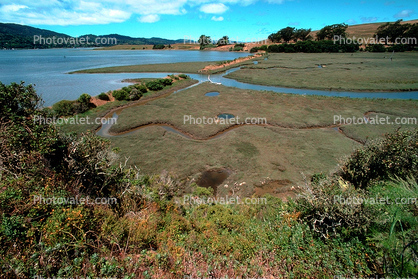Old Roadbed for the train, wetlands, Tomales Bay, Marin County