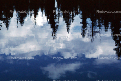 Lake, pond, water, trees, reflection