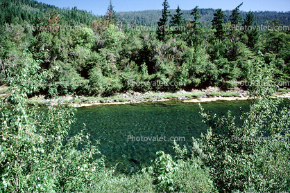 Lake, pond, water, forest, trees, river