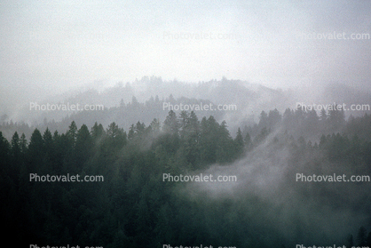 fog, mountains