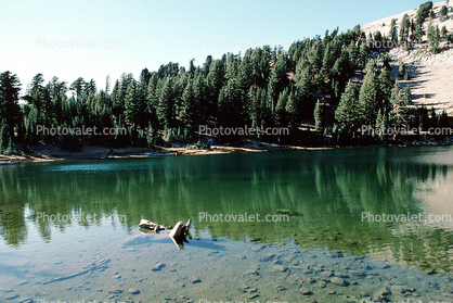 Pebbles, Water, Clear, Pond, rocks, trees, forest, water reflection, placid, bucolic, peaceful, Emerald Lake