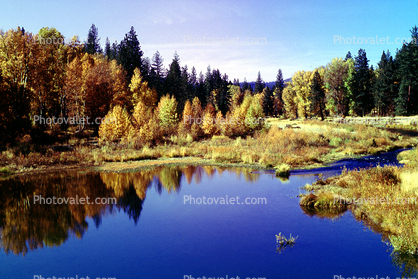 Woodland, Forest, Trees, Hills, Reflecting Lake, autumn, water, Equanimity