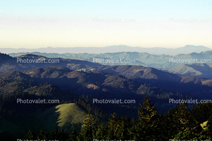 Mount Tamalpais