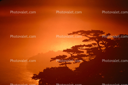 Sunset in the fog, Marin County