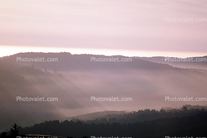 Mount Tamalpais, Mountains, fog, layers