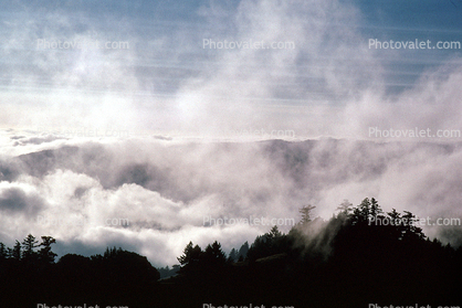 Mount Tamalpais Fog